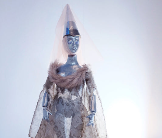 Robot Princess