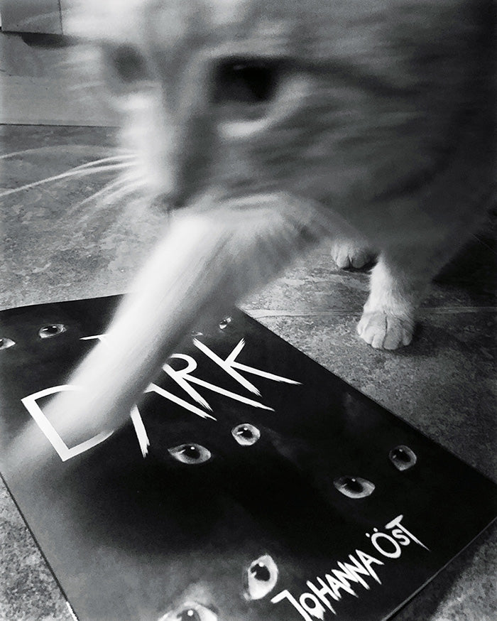 The Dark