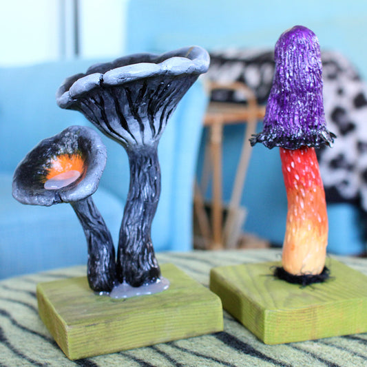 Black Fantasy Fungi