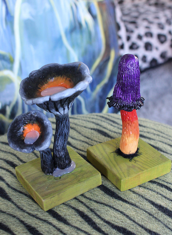 Black Fantasy Fungi