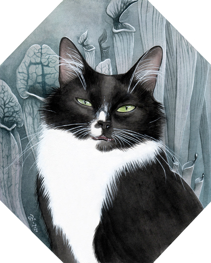 Vincent – A4 print