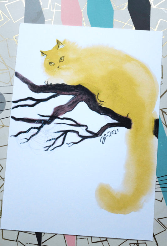 Cats – Postcard set