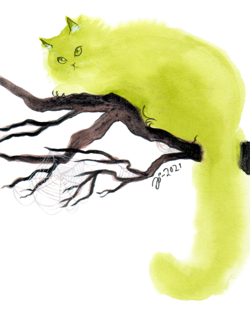 Cats – Postcard set
