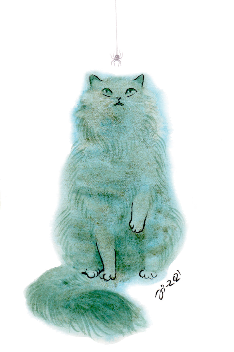 Cats – Postcard set