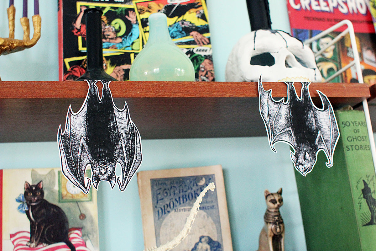 Shelf Bats