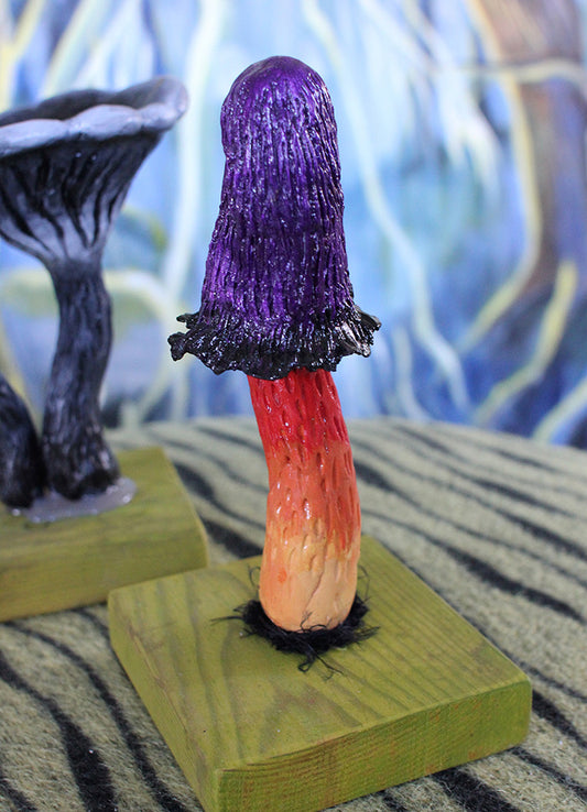 Purple and Orange Fantasy Fungi