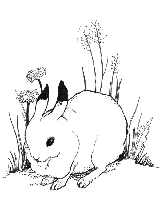 Rabbit – original art