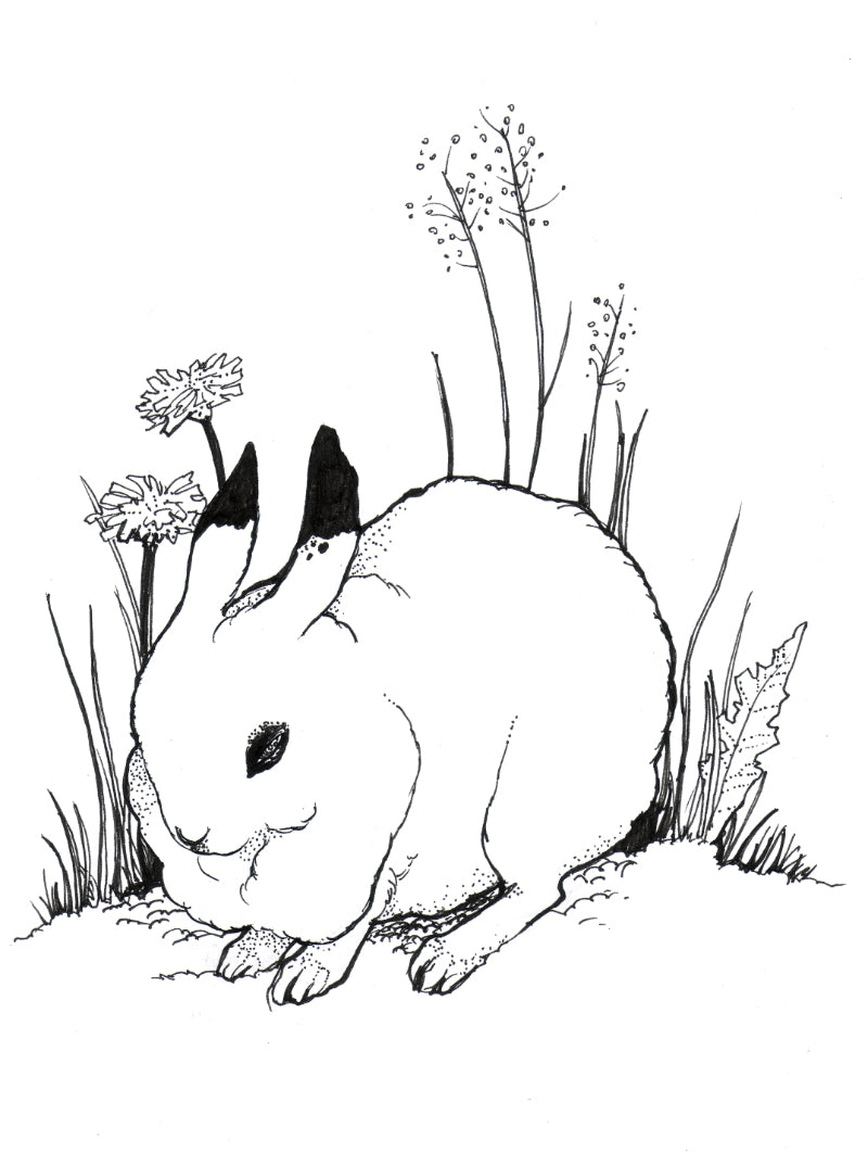 Rabbit – original art