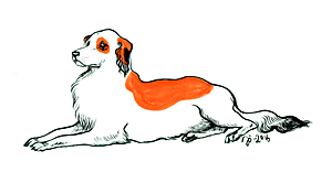 Red and White Dog - original art