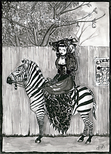 Zebra - A3 print
