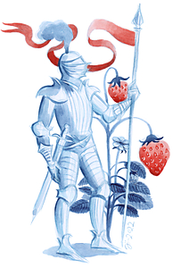 Strawberry Knight - A5 print