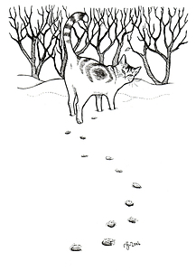 Cat Illustration - Snow - original art