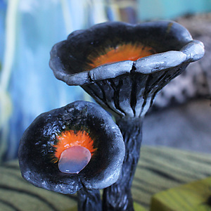 Black Fantasy Fungi 