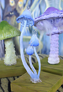 Blue Fantasy Fungi 