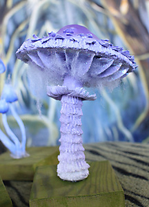 Purple Fantasy Fungi 