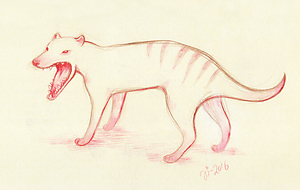 Thylacine - A5 print
